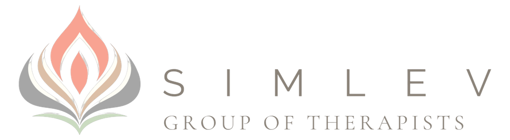 Simlev.space logo